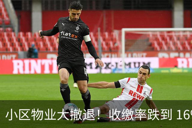 小区物业大撤退！收缴率跌到 16%，售价数百万住宅恐变贫民窟