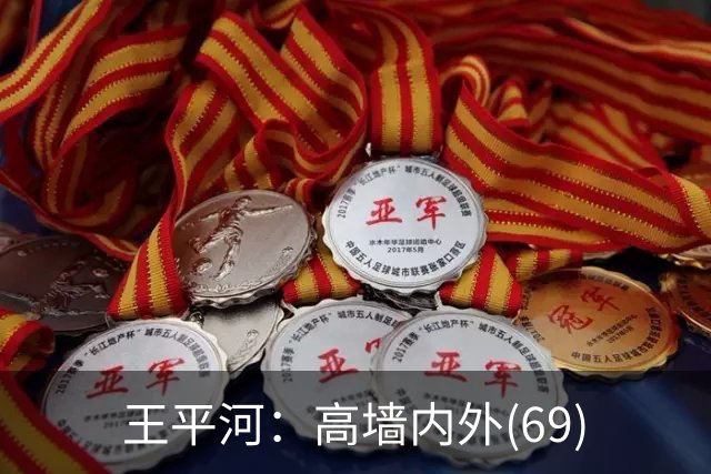 王平河：高墙内外(6/9)